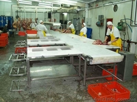 Линия обвалки КРС и свиней. Цех обвалки  - <ro>Изображение</ro><ru>Изображение</ru> #2, <ru>Объявление</ru> #1149790