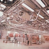 Линия обвалки КРС и свиней. Цех обвалки  - <ro>Изображение</ro><ru>Изображение</ru> #1, <ru>Объявление</ru> #1149790