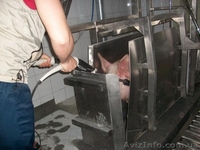 Аппарат оглушения свиней STZ5 - <ro>Изображение</ro><ru>Изображение</ru> #2, <ru>Объявление</ru> #1149784