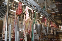 Линия по убою свиней и крс  - <ro>Изображение</ro><ru>Изображение</ru> #3, <ru>Объявление</ru> #1149793