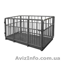 Весы для Взвешивания Животных. Изготовление. ГосПоверка! - <ro>Изображение</ro><ru>Изображение</ru> #1, <ru>Объявление</ru> #1152659