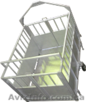 Весы для Взвешивания Животных. Изготовление. ГосПоверка! - <ro>Изображение</ro><ru>Изображение</ru> #3, <ru>Объявление</ru> #1152659