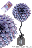 Грошове дерево Подарунковий сувенір - <ro>Изображение</ro><ru>Изображение</ru> #3, <ru>Объявление</ru> #1176966