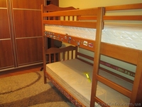 Пропозиція оренди 1/2 особняка по вул. Корсунській  - <ro>Изображение</ro><ru>Изображение</ru> #6, <ru>Объявление</ru> #1171382