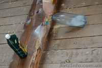 Пропитка (антисептик для древесины) Lignofix I-Рrofi концентрат – антижук - <ro>Изображение</ro><ru>Изображение</ru> #6, <ru>Объявление</ru> #1129042