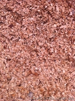 Переработка древесины. - <ro>Изображение</ro><ru>Изображение</ru> #5, <ru>Объявление</ru> #1303834