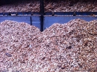 Переработка древесины. - <ro>Изображение</ro><ru>Изображение</ru> #2, <ru>Объявление</ru> #1303834