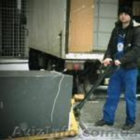 Спеціальна пропозиція для банків ита офісів - <ro>Изображение</ro><ru>Изображение</ru> #3, <ru>Объявление</ru> #1360810