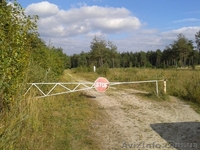 сосновый лес, гостиница, база отдыха, котеджный городок - <ro>Изображение</ro><ru>Изображение</ru> #2, <ru>Объявление</ru> #1386940