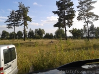 сосновый лес, гостиница, база отдыха, котеджный городок - <ro>Изображение</ro><ru>Изображение</ru> #3, <ru>Объявление</ru> #1386940