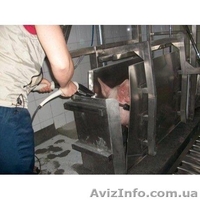 Бокс глушения свиней - <ro>Изображение</ro><ru>Изображение</ru> #4, <ru>Объявление</ru> #1473185