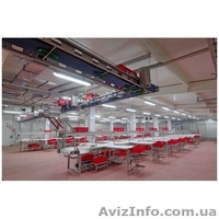 Линия по переработке мяса крупного рогатого скота - <ro>Изображение</ro><ru>Изображение</ru> #2, <ru>Объявление</ru> #1473183