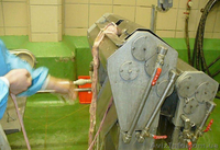 Оборудование для обработки субпродуктов и кишсырья - <ro>Изображение</ro><ru>Изображение</ru> #1, <ru>Объявление</ru> #1473102