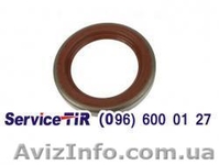 Сальники до вантажних авто Даф - <ro>Изображение</ro><ru>Изображение</ru> #2, <ru>Объявление</ru> #1579495