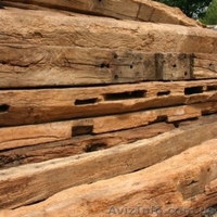 Куплю старе дерево ( бруси дуба та твердих порід ) - <ro>Изображение</ro><ru>Изображение</ru> #1, <ru>Объявление</ru> #1581742