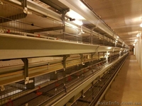 Клетка БИГ ДАЧМАН 2009 г.  - <ro>Изображение</ro><ru>Изображение</ru> #1, <ru>Объявление</ru> #1615270