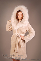   Шуба мех бобер.  пошив  из меха бобра. - <ro>Изображение</ro><ru>Изображение</ru> #5, <ru>Объявление</ru> #1500924