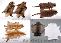  Услуги по выделке натурального меха. Украина.  - <ro>Изображение</ro><ru>Изображение</ru> #1, <ru>Объявление</ru> #1500925