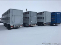 Полуприцеп скотовоз SCHMITZ (для перевозки животных) - <ro>Изображение</ro><ru>Изображение</ru> #1, <ru>Объявление</ru> #1643469