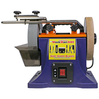 Шлифовально-полировальный станок WorkMan 8080 - <ro>Изображение</ro><ru>Изображение</ru> #1, <ru>Объявление</ru> #1647878