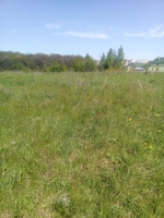 Продам земельну ділянку, Львів, с. Зубра - <ro>Изображение</ro><ru>Изображение</ru> #4, <ru>Объявление</ru> #1702675