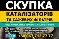Скупка каталізаторів та сажових фільтрів з авто - <ro>Изображение</ro><ru>Изображение</ru> #1, <ru>Объявление</ru> #1713258