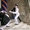 Живий стіл - Леді Фуршет та Міми-Пантоміми свято "Без Проблем" - <ro>Изображение</ro><ru>Изображение</ru> #4, <ru>Объявление</ru> #96944