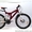 Продам  подростковый  велосипед Львов - <ro>Изображение</ro><ru>Изображение</ru> #3, <ru>Объявление</ru> #208612