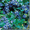 Чорниця американська (лохина, бурівка) - <ro>Изображение</ro><ru>Изображение</ru> #4, <ru>Объявление</ru> #314860