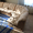 Мягкая мебель бежевого цвета  - <ro>Изображение</ro><ru>Изображение</ru> #1, <ru>Объявление</ru> #534997