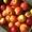 яблоки оптом из Польши - <ro>Изображение</ro><ru>Изображение</ru> #4, <ru>Объявление</ru> #569889