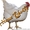 Курица разделка опт окорочка филе бедро крило сердечки печень жылудки #758600
