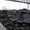 Уголь Камяной Вугілля камяне - <ro>Изображение</ro><ru>Изображение</ru> #1, <ru>Объявление</ru> #785702