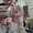 Котята от чистопородного британца и пушистой мамы - <ro>Изображение</ro><ru>Изображение</ru> #2, <ru>Объявление</ru> #895421