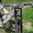 Німецький велосипед TORREK TK  - <ro>Изображение</ro><ru>Изображение</ru> #3, <ru>Объявление</ru> #896457
