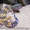 Эублефар (Леопардовый геккон) - <ro>Изображение</ro><ru>Изображение</ru> #1, <ru>Объявление</ru> #1124046