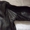 куртка военного летчика США - <ro>Изображение</ro><ru>Изображение</ru> #5, <ru>Объявление</ru> #1115149