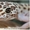 Эублефар (Леопардовый геккон) - <ro>Изображение</ro><ru>Изображение</ru> #2, <ru>Объявление</ru> #1124046