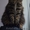 Мейн кун элитные котята из питомника - <ro>Изображение</ro><ru>Изображение</ru> #4, <ru>Объявление</ru> #1206972