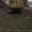 Продажа дров круглого леса (в ящиках, сетках). - <ro>Изображение</ro><ru>Изображение</ru> #8, <ru>Объявление</ru> #1303831