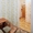 Уютная квартира в центре города Львова - <ro>Изображение</ro><ru>Изображение</ru> #3, <ru>Объявление</ru> #1317297