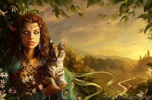 Харьков.Приворот «брачный»,  возврат супругов  в семью навсегда.