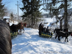 Новый год в Карпатах 2013 - <ro>Изображение</ro><ru>Изображение</ru> #3, <ru>Объявление</ru> #770652