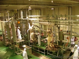 Оборудование мясоперерабатывающее - <ro>Изображение</ro><ru>Изображение</ru> #4, <ru>Объявление</ru> #918867