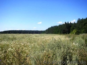 Продам участок 2 га  под строительство в Березовке 17 км от Киева по Житомирской