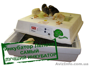 Самый лучший инкубатор для яиц - Лелека - <ro>Изображение</ro><ru>Изображение</ru> #1, <ru>Объявление</ru> #1158534