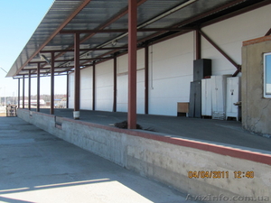 аренда холодильных складов.мясо.рыба.овощи.