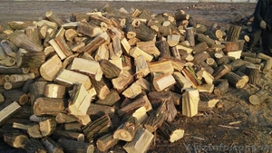 Продажа дров круглого леса (в ящиках, сетках). - <ro>Изображение</ro><ru>Изображение</ru> #5, <ru>Объявление</ru> #1303831