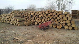 Продажа дров круглого леса (в ящиках, сетках). - <ro>Изображение</ro><ru>Изображение</ru> #1, <ru>Объявление</ru> #1303831