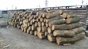 Продажа дров круглого леса (в ящиках, сетках). - <ro>Изображение</ro><ru>Изображение</ru> #6, <ru>Объявление</ru> #1303831